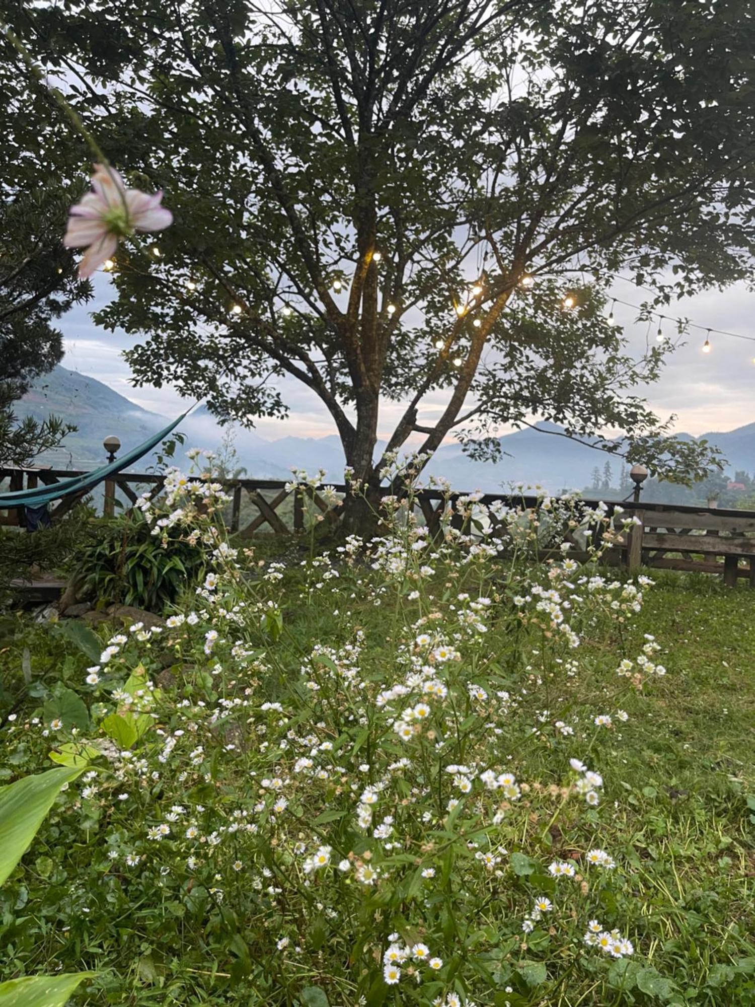 Pea Homestay Sa Pa Eksteriør bilde